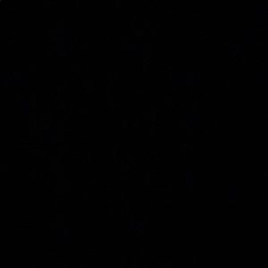 Meet your Posher, Aisha